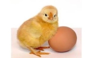 Влияние препарата Абиопептид на яйценоскость и качество яиц
